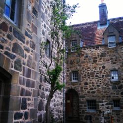 Rowan Tree at Duart Castle